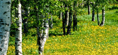 avslutningstider-F6